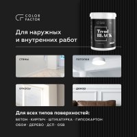 Краска акриловая для наружных и внутренних работ ЧЕРНАЯ TREND BLACK